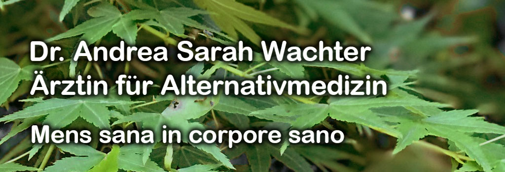Ordination Dr. Andrea Sarah Wachter Eyecatcher